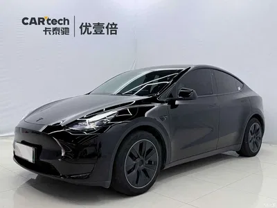 2022 Tesla Model Y Rear-Wheel Drive Version, фото 1, лот 10401773