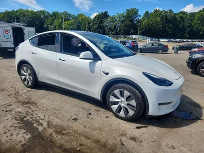 2024 TESLA MODEL Y, фото 4, лот 10855107