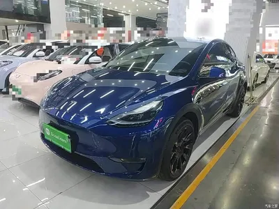 2023 Tesla Model Y Long Range All-Wheel Drive Edition, фото 2, лот 11242218