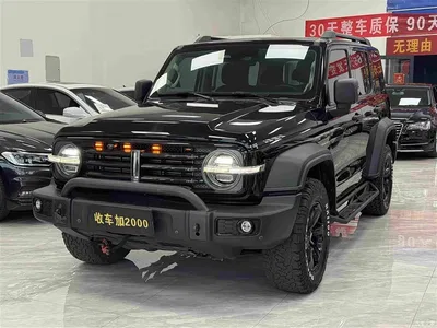 2021 Tank 300 Off-road Version 2.0T Conqueror, фото 1, лот 11097802