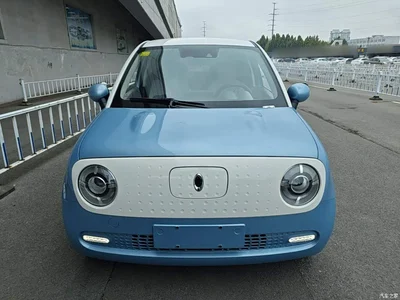 2021 Ora Black Cat 405km Long Range Model, фото 3, лот 11243643