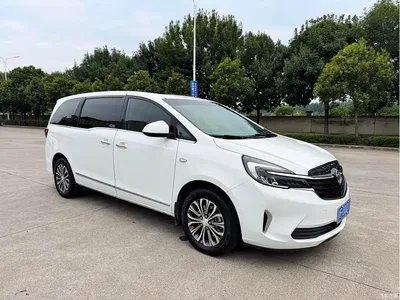 2021 Buick GL8 Land Business Class 652T Smart Luxury, фото 1, лот 10256576