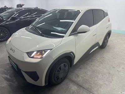 2025 BYD Seagull Smart Drive Edition 305km Vitality Version, фото 1, лот 10393963