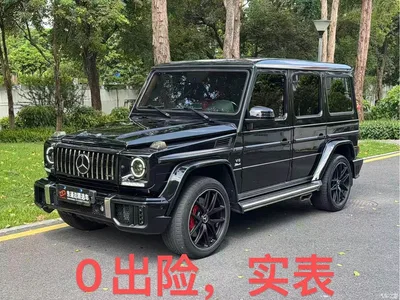 2017 Mercedes-Benz G-Class G 500, фото 1, лот 11530828