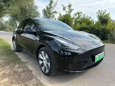 2022 Tesla Model Y Facelift Rear-Wheel Drive Version, фото 3, лот 11522498