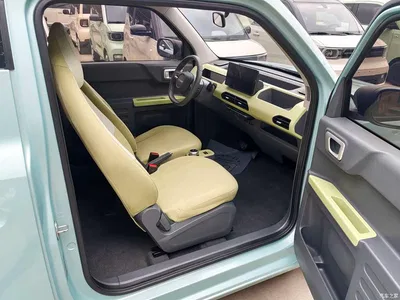 2024 Geely Galaxy Panda mini 200km Endurance Bear, фото 4, лот 10431007