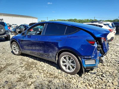 2021 TESLA MODEL Y, фото 2, лот 11053487