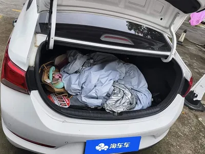 2016 Hyundai Verna 1.4L Automatic Cool Edition GLS, фото 4, лот 11204802