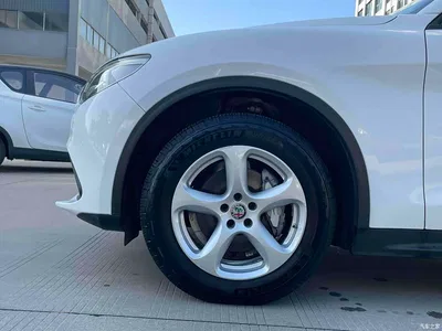 2017 Alfa Romeo Stelvio 2.0T 200HP Elite, фото 4, лот 10239833