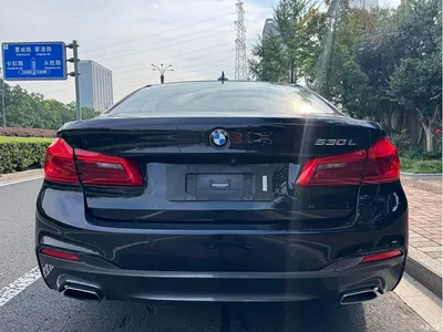 2020 BMW 5 Series 530Li Exclusive M Sport Package, фото 4, лот 10606412
