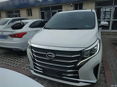 2021 GAC Trumpchi Trumpchi M8 Leading Show Series 390T Ultimate Edition, фото 3, лот 10423929