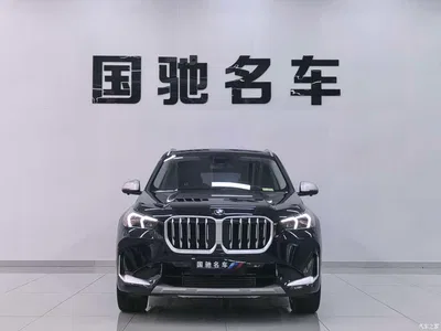 2023 BMW X1 sDrive25Li X Design Package, фото 2, лот 10430239
