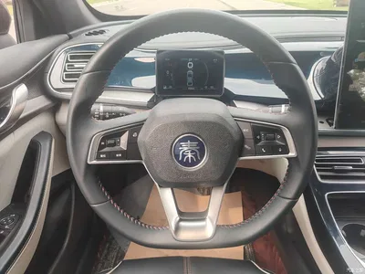 2021 BYD Qin PLUS DM-i 55KM Flagship, фото 4, лот 10363973
