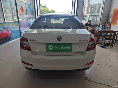 2017 Škoda Octavia Classic 1.6L Automatic Standard, фото 4, лот 10348082