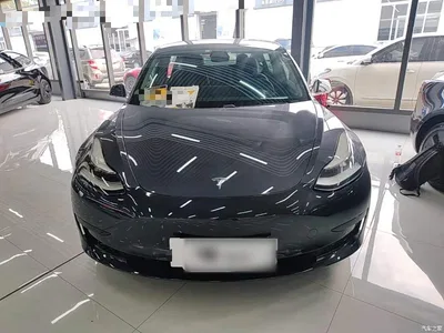 2020 Tesla Model 3 Standard Range Rear-Wheel Drive Upgrade, фото 3, лот 11098182