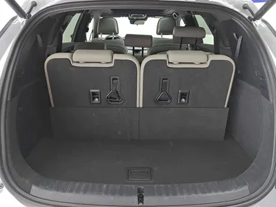 2025 BYD Tang New Energy Smart Driving Edition DM-i 115KM Flagship, фото 4, лот 10399395