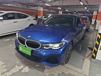 2021 BMW 3 Series 320Li M Sport Package, фото 1, лот 10457719