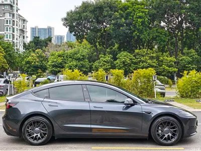 2023 Tesla Model 3 Rear-Wheel Drive, фото 4, лот 11073694