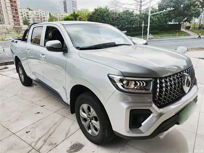 2023 Great Wall Pao 2.0T Commercial Auto Diesel 2WD Elite Long Box GW4D20M, фото 4, лот 10248925