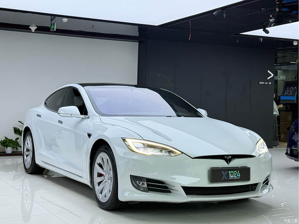 2019 Tesla Model S Performance High-performance Version, фото 3, лот 11141491