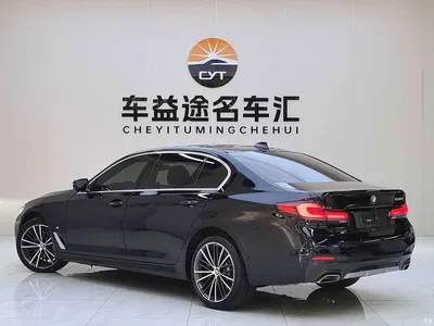 2021 BMW 5 Series Facelift 530Li Leading M Sport Package, фото 2, лот 11512391
