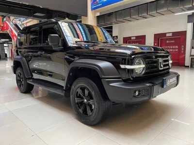 2021 Tank 300 Off-road Edition 2.0T Challenger, фото 3, лот 11509949
