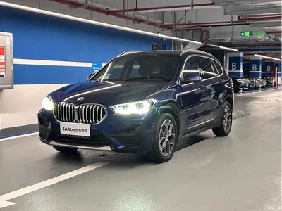 2020 BMW X1 sDrive25Li Leading Model, фото 1, лот 10413230