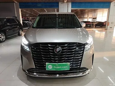 2023 Buick GL8 ES Landmaster Exclusive, фото 3, лот 10516328