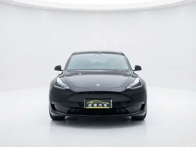 2023 Tesla Model Y Rear-Wheel Drive Edition, фото 2, лот 11221799