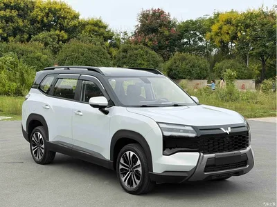 2025 Wuling Motors Starlight 560 Model Gasoline Version 5-seater, фото 3, лот 11155441