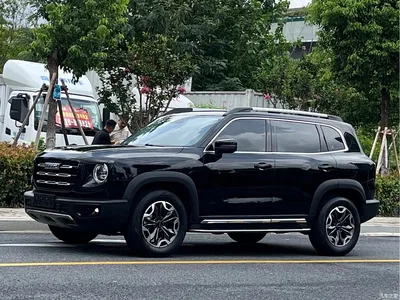 2022 Haval Big Dog 2.0T DCT AWD Chinese Pastoral Dog Edition, фото 1, лот 10361996