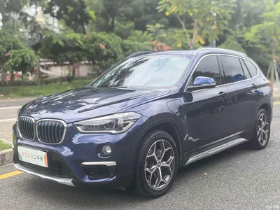 2018 BMW X1 New Energy xDrive25Le Luxury Model, фото 1, лот 10475373