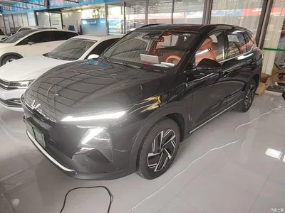 2025 Wuling Motors Wuling Xingguang S 130km Flagship, фото 1, лот 10836067