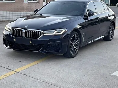 2023 BMW 5 Series 530Li Leading M Sport Package, фото 1, лот 10443977