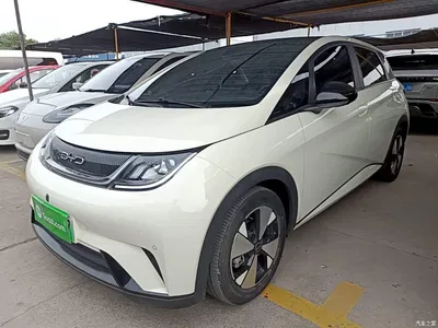 2023 BYD Dolphin 420km Fashion Edition, фото 1, лот 10621235