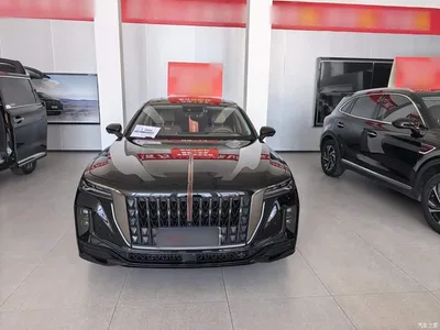 2025 Hongqi H9 Facelift 2.0T 2WD Flagship Private Style Edition 5-seater, фото 3, лот 10360385
