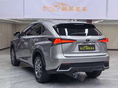 2020 Lexus NX 200 AWD F Sport China VI, фото 4, лот 10397214