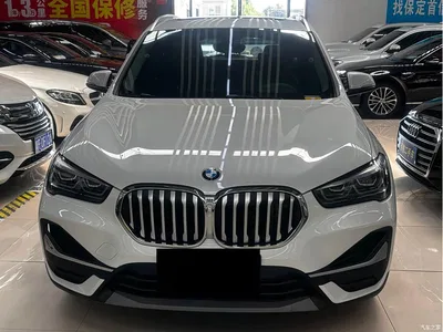 2020 BMW X1 sDrive20Li Fashion Model, фото 2, лот 10467213
