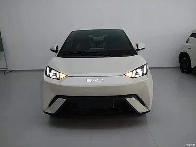 2024 BYD Seagull Glory Edition 305km Freedom Edition, фото 3, лот 10262927