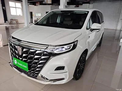 2023 Roewe iMAX8 400TGI Comfort Edition, фото 1, лот 10341053