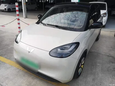 2025 Wuling Motors Wuling Bingo Model 333km Joy Edition, фото 2, лот 10456919
