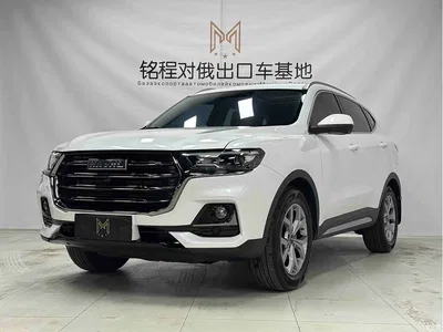 2021 Haval H6 Model National Trend Edition 1.5T Auto Champion, фото 1, лот 10282207