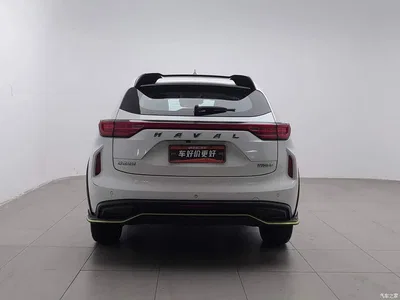 2021 Haval Chitu Turbo Edition 1.5T Golden Rabbit, фото 4, лот 11191507