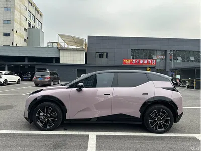 2024 ZEEKR X Model 5-Seat 4WD Version, фото 4, лот 10837102