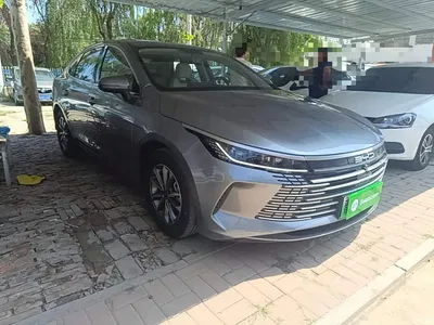 2023 BYD Destroyer 05 Champion Edition DM-i 55KM Premium, фото 4, лот 10267816