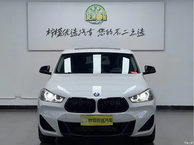 2023 BMW X2 sDrive25i M Sport Shadow Edition, фото 3, лот 10402734