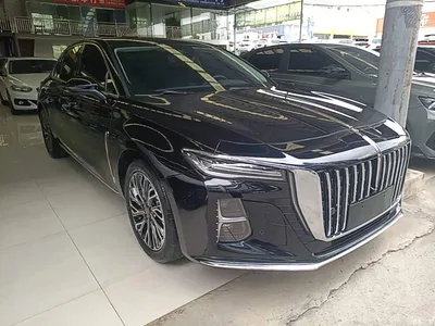 2024 Hongqi H5 2.0T Automatic Smart Connect Flag Smooth Edition, фото 4, лот 11097968