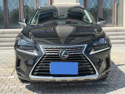 2018 Lexus NX Model 200 AWD Fengshang Edition China V, фото 1, лот 10319619