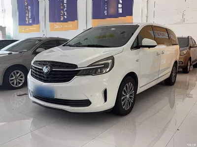2021 Buick GL8 Land Business Class 652T Smart Luxury, фото 1, лот 10259203