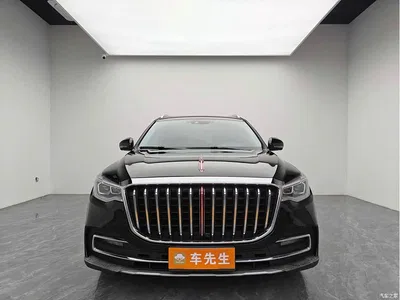 2021 Hongqi HS7 3.0T Automatic AWD Smart Connect Qi Chang Edition, фото 2, лот 10287966